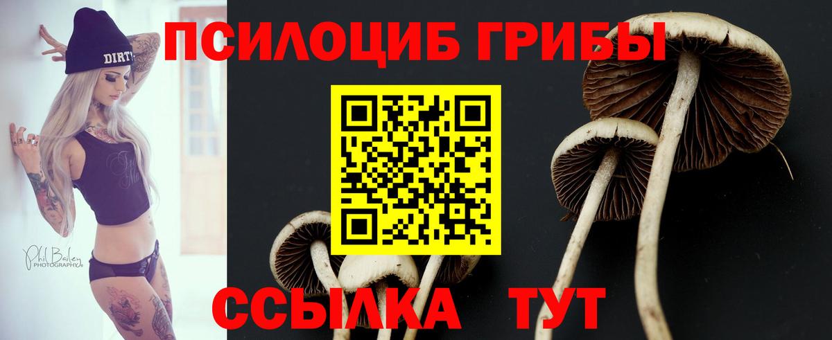 Галлюциногенные грибы мухоморы Серпухов